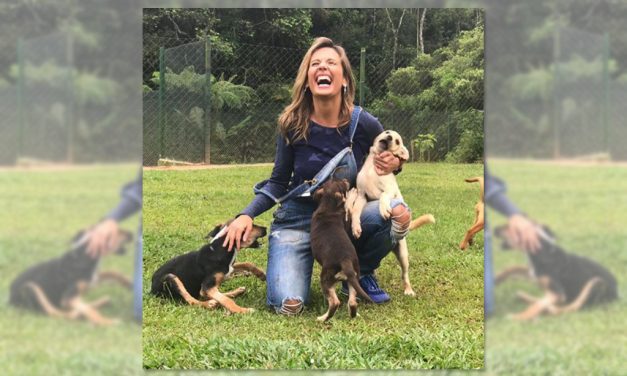 Coronavírus pode ser transmitido para cães e gatos? Especialista tira dúvidas!