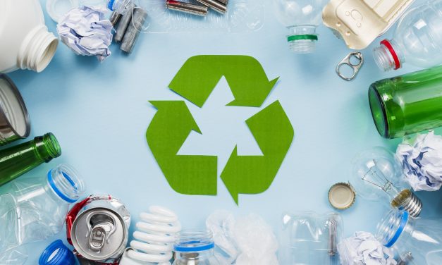 Encontro Lixo Zero São Paulo 2020 – Lixo, sintoma de quê?