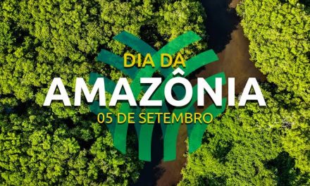 Dia da Amazônia: produtos de moda ecologicamente responsáveis