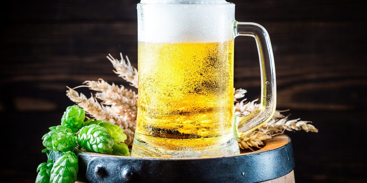 Independência da cerveja: descubra como a bebida trazida pelos portugueses caiu no gosto dos brasileiros