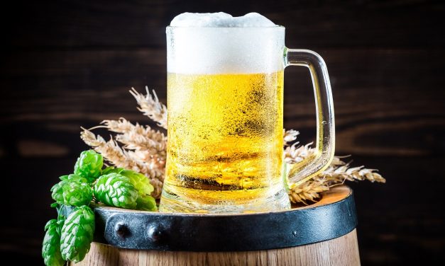 Independência da cerveja: descubra como a bebida trazida pelos portugueses caiu no gosto dos brasileiros