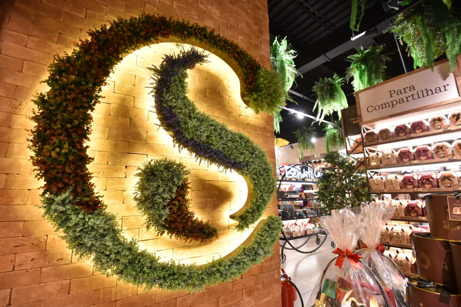 São Paulo para crianças - OMG! Super store da Cacau Show é inaugurada no  Santana Parque Shopping