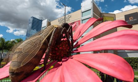 Natureza Gigante: Taguatinga Shopping convida público para uma imersão no mundo dos insetos e aracnídeos por meio de exposição com som e movimento