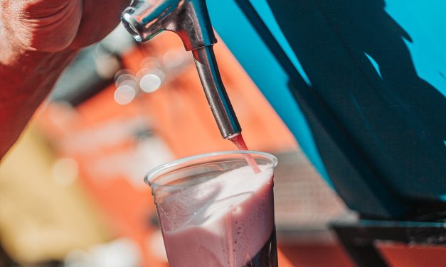 Feira de cervejas artesanais inova com atrações como waterball, além do sorvete de cerveja e espumante