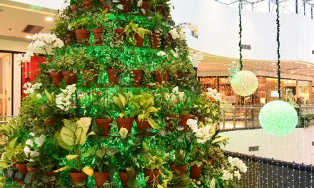 Jardim de Noel traz árvore com plantas naturais ao Brasilia Shopping