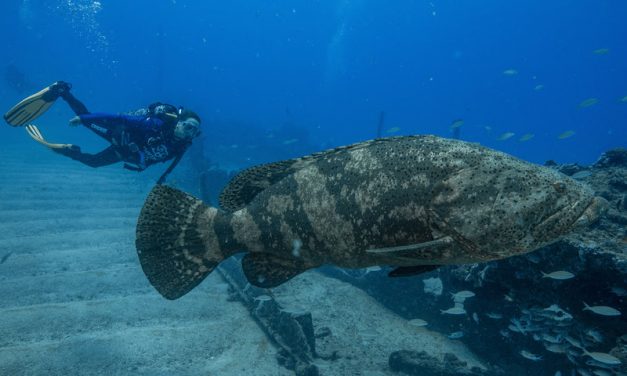 DOCUMENTÁRIO SOBRE PESQUISADORAS BRASILEIRAS ESTREIA NA TV CULTURA