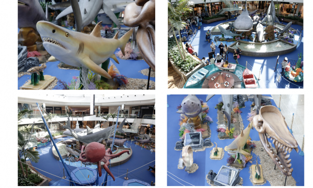 Exposição Sharks no Park Shopping