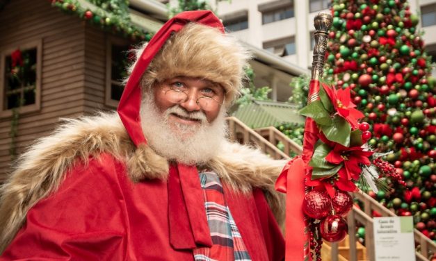 Natal no Terraço Shopping 2023