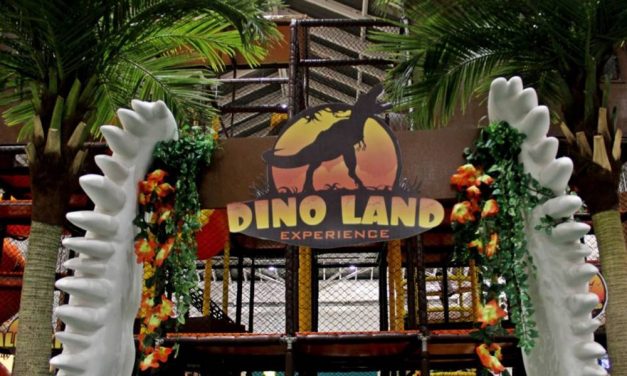 Pátio Brasil Shopping traz diversão completa com programação de férias para o mês de janeiro