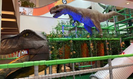 Dino World tem brinquedos temáticos de dinossauros para as crianças Conjunto Nacional 