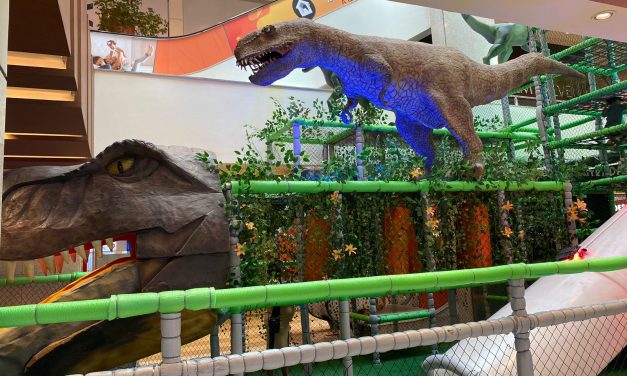 Dino World tem brinquedos temáticos de dinossauros para as crianças Conjunto Nacional 