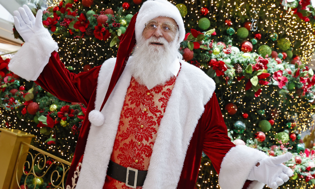 Natal do Reino Iluminado no Park Shopping