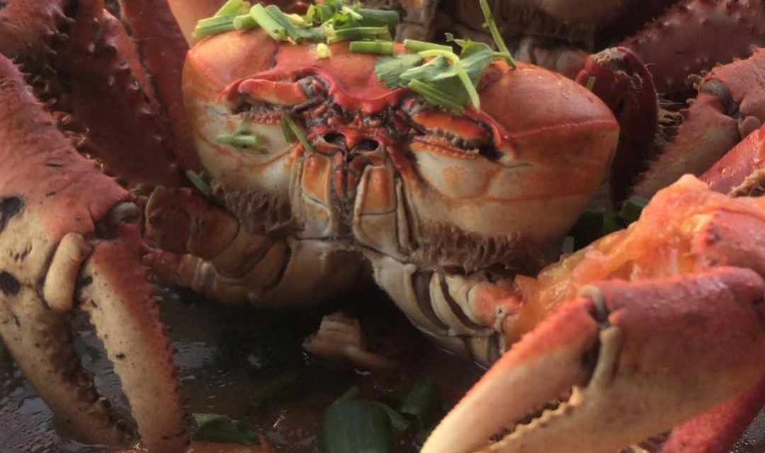 Festiquiosque festival de comida de rua chega ao Núcleo Bandeirantes