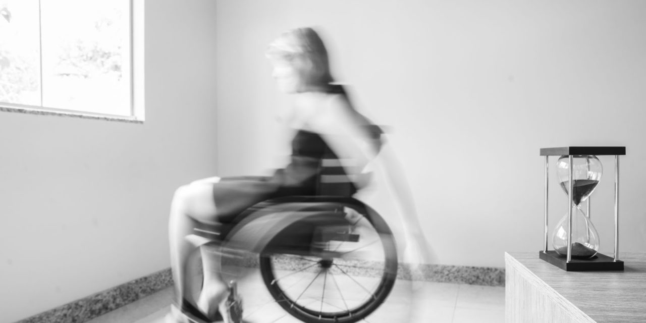 Exposição fotográfica une arte e acessibilidade no Espaço Cultural Renato Russo 
