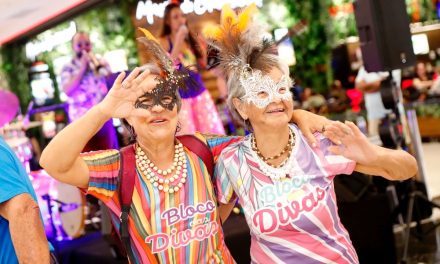 Foliões do Boulevard Carnaval para a melhor idade 60+