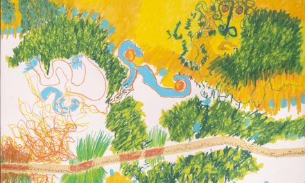 Fullgás – artes visuais e anos 1980 no Brasil chega ao CCBB Brasília