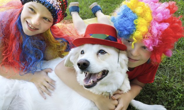<strong>Carnapati 2025 terá programação gratuita para famílias e pets na ressaca de Carnaval </strong>