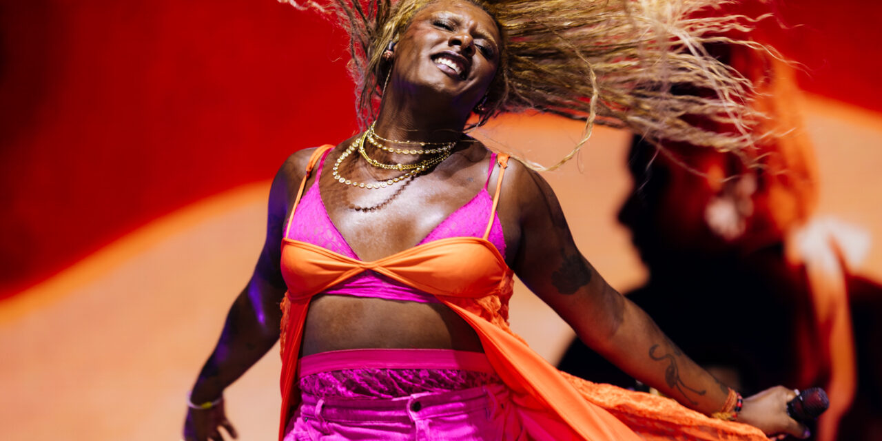 <strong>Liniker encerra o Festival Estilo Brasil com show especial dia 14 de dezembro</strong>