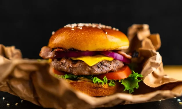 <strong>HAMBURGUERIAS DE BRASÍLIA CONCORREM A MELHORES DO PAÍS NO RANKING DO BURGER FEST</strong>