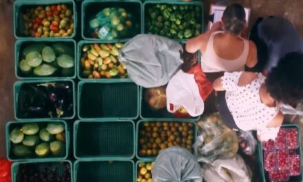 <strong>São Paulo Food Film Fest 2025 celebra a saída do Brasil do Mapa da Fome com cinema, gastronomia e cultura</strong>