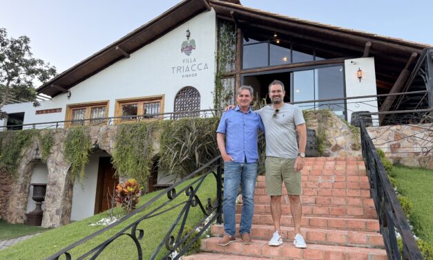 Cerrado brasiliense entra no radar da vinicultura italiana com visita de executivo da Castellani