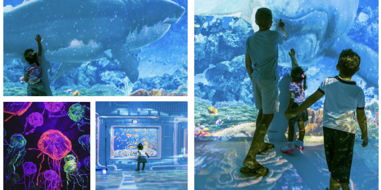 Oceano Vivo diverte crianças no Park Shopping