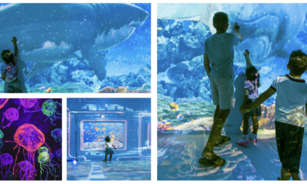 Oceano Vivo diverte crianças no Park Shopping