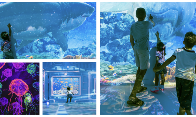 Oceano Vivo diverte crianças no Park Shopping