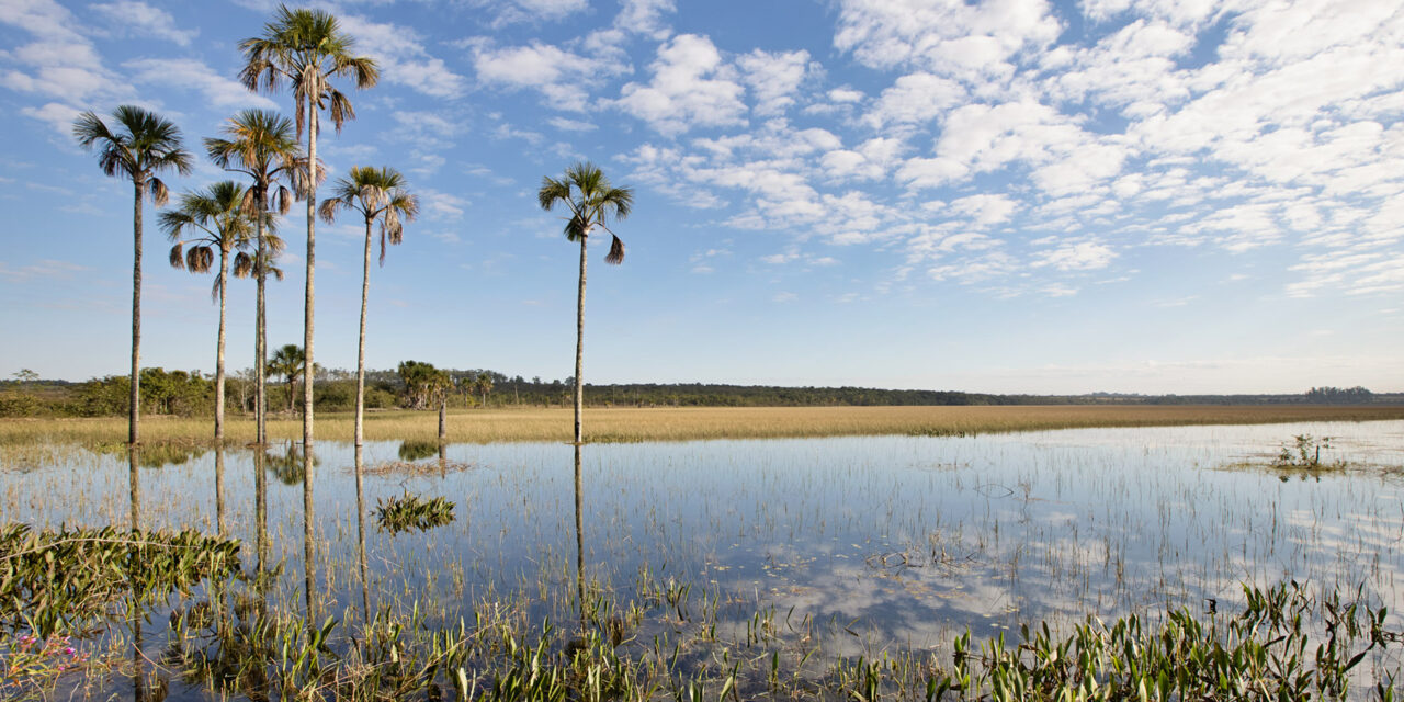 4º Salão Mestre D’Armas anuncia artistas selecionados um recorte vibrante da cena contemporânea do DF e Entorno