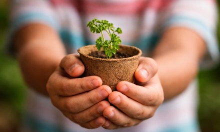 Oficinas de plantio de hortaliças animam as férias das crianças no Boulevard Shopping