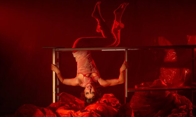 <strong>Festival Arranha-Céu oferece oficinas técnicas e colóquio sobre escrita no universo circense</strong>&nbsp;