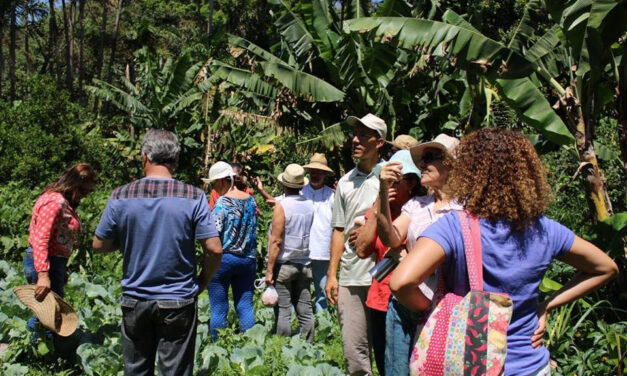 Turismo rural: cinco lugares no DF para conhecer no feriado