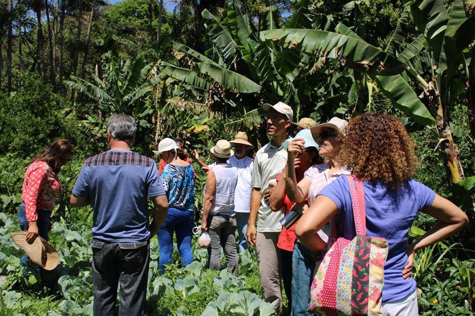 Turismo rural: cinco lugares no DF para conhecer no feriado