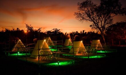 5ª edição do Trust Love transforma a orla de Brasília em destino gastronômico e cultural 