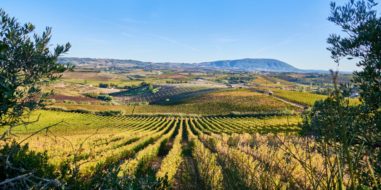 Brasília recebe degustação de Vinhos de Lisboa em sunset exclusivo na Embaixada de Portugal