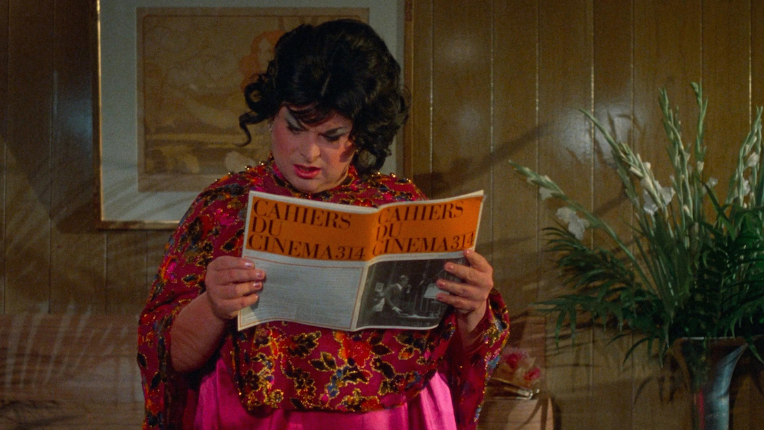 Mostra Amor ao Cinema reúne 52 filmes em dois eixos que celebram a linguagem e as transgressões no cinema 
