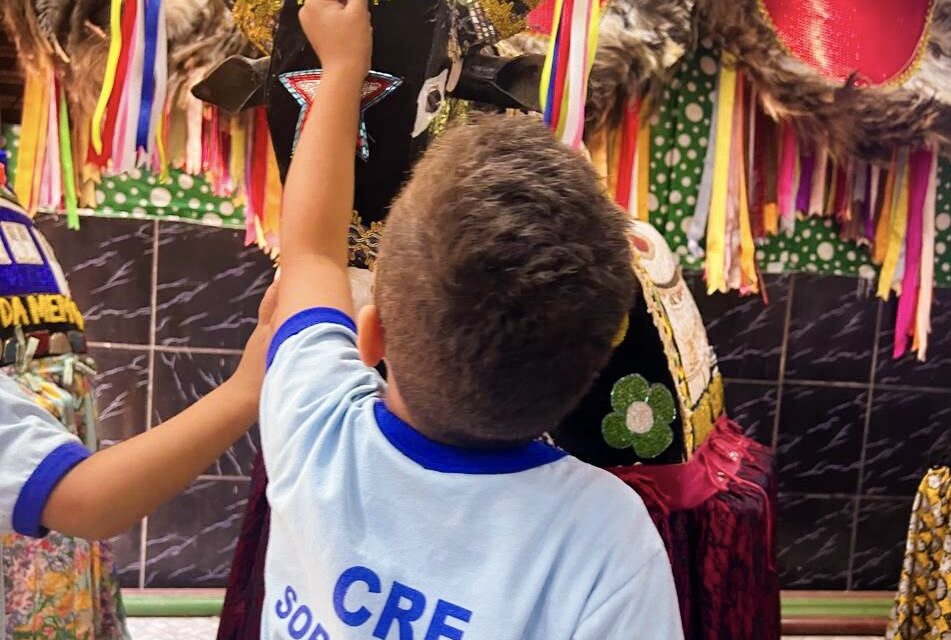Projeto Memória e Educação chega à 3ª edição e conecta estudantes da rede pública às tradições do Bumba Meu Boi de Seu Teodoro e do Bola Preta de Sobradinho